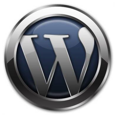 WordPress – Ottimizzazione, cache e moduli con problemi