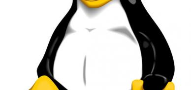 Cos’è un Hosting professionale Linux?