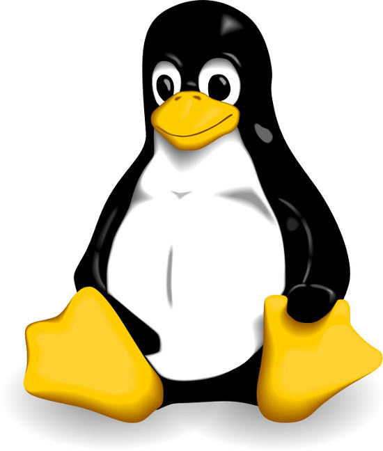 hosting professionale linux