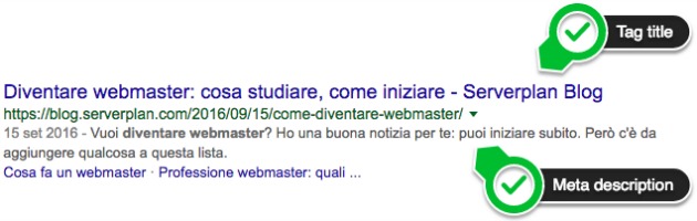 seo wordpress