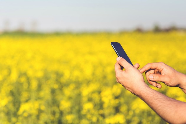 mobile-wordpress