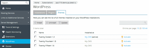 Gestione temi WordPress