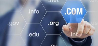 Quanti e quali caratteri può avere un dominio?