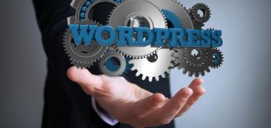 6 punti essenziali per scegliere un buon template WordPress