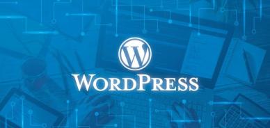 Come eliminare senza categoria (Uncategorized ) da WordPress