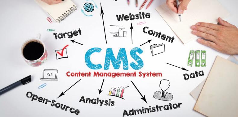 Quali sono i CMS più diffusi del web?