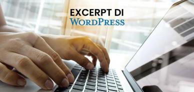 Come usare gli Excerpt (estratti o riassunti) di WordPress