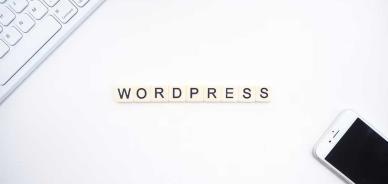 Siti con WordPress: statistiche e quote di mercato