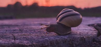 Perché il mio sito WordPress è lento? Ecco 7 problemi e relative soluzioni