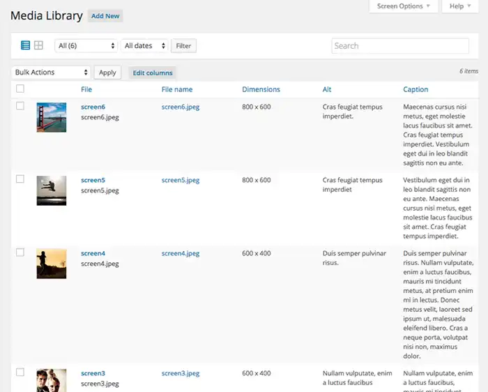Usa i plugin per creare più colonne su WordPress