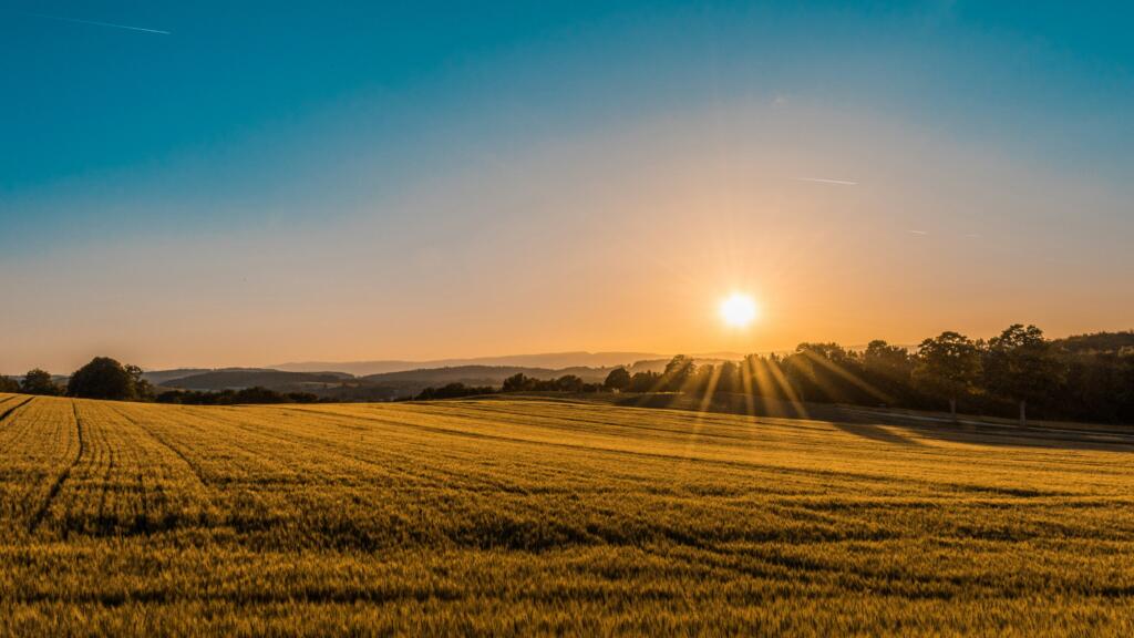 Sunrise e landrush di un dominio: cosa significa?