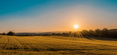 Sunrise e landrush di un dominio: cosa significa?